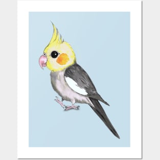 Very cute cockatiel Posters and Art